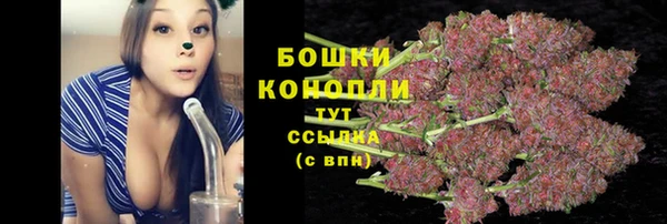 гашик Абаза
